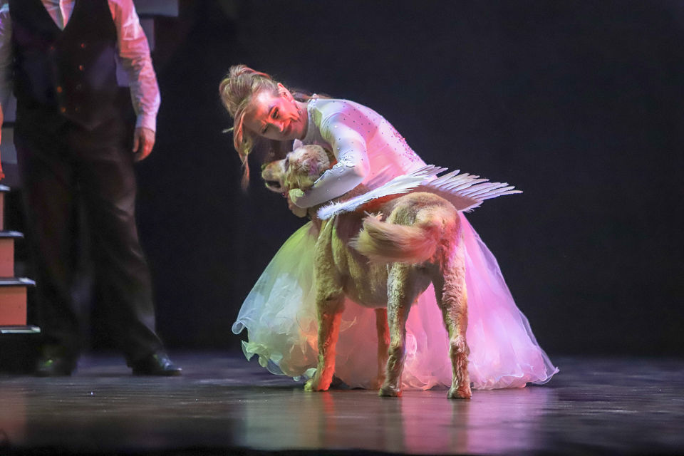 Dancing with the Burke Stars 2020-0571 (42).jpg